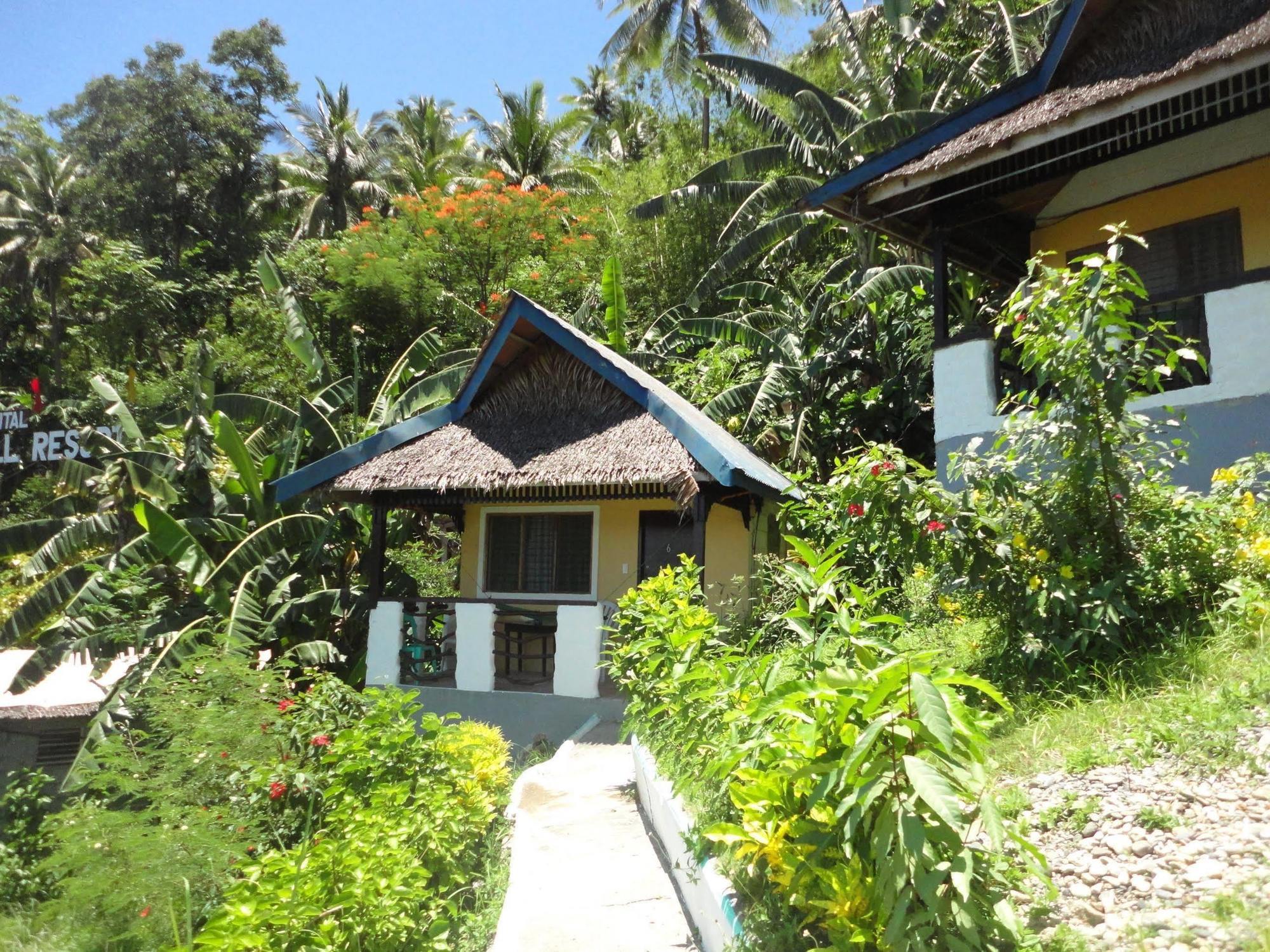 เบลวิว คอทเทจส์ Hotel ปูแอร์โตกาเลรา ภายนอก รูปภาพ